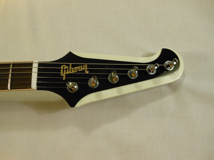 Firebird V 2010 Picture 3